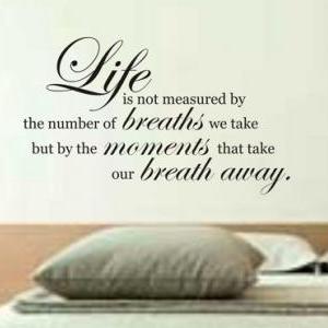Wall Decal Quotes - Life is not mea..