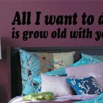Wall Decal Quotes - All I Want to D..