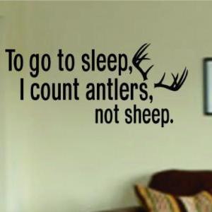Wall Decal Quotes - To Go To Sleep I Count..