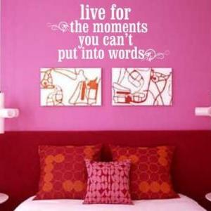 Wall Decal Quotes - Live for the Mo..