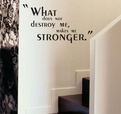 Wall Decal Quotes - What Does Not Destroy Me Quote Decal Sticker Wall