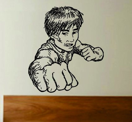 Kung Fu Master Decal Sticker Wall Boy Girl Teen Child Sport Fight